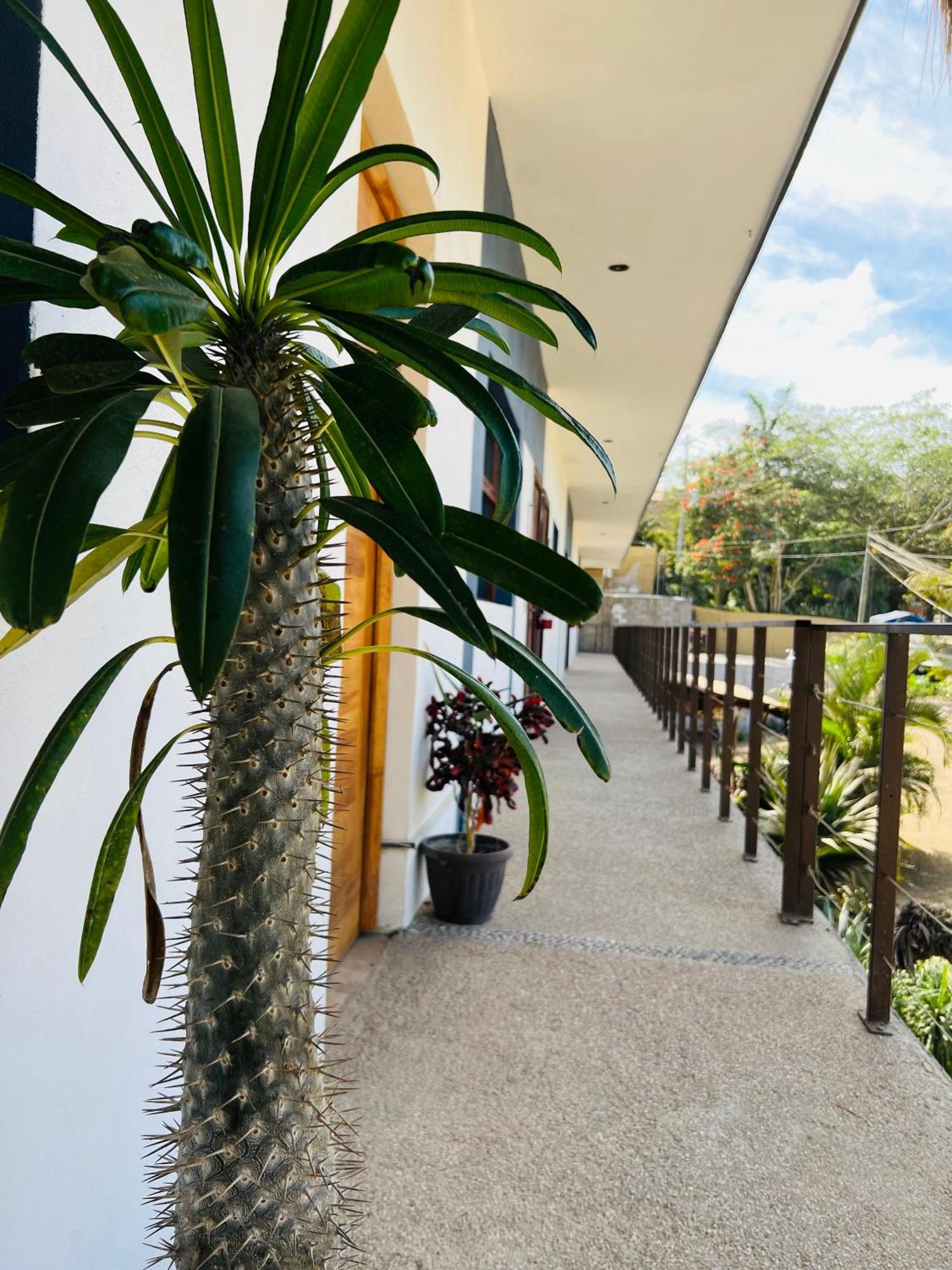 Hotel Samanu Sayulita Kültér fotó